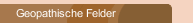 Geopathische Felder
