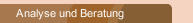 Analyse und Beratung
